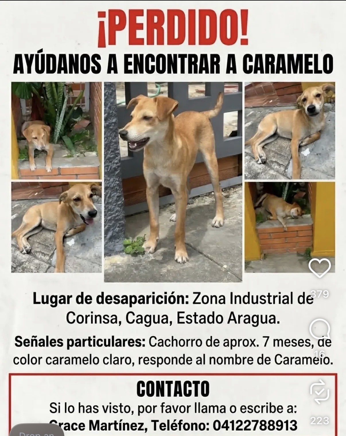 Caramelo
