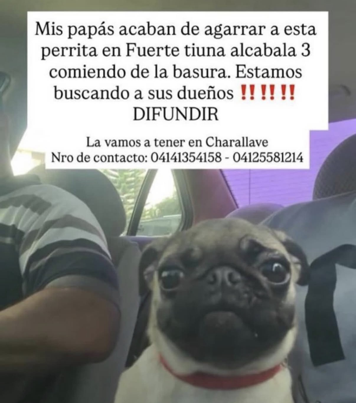 Sin información