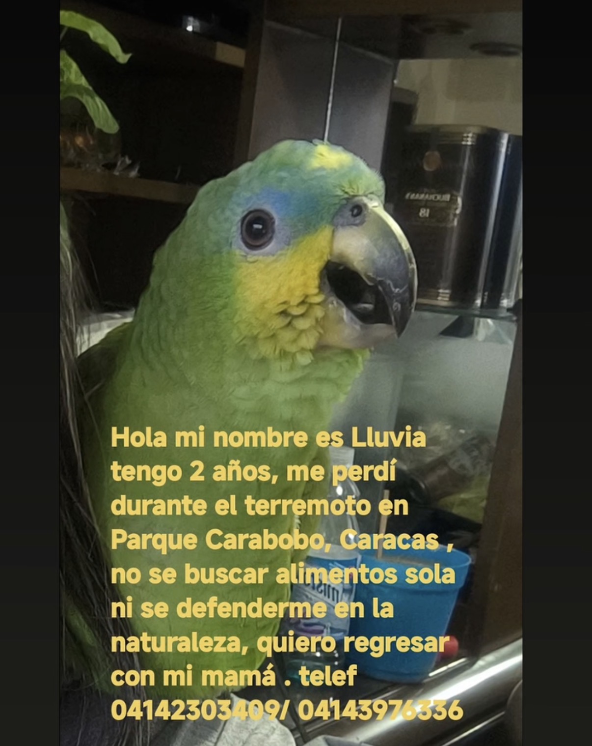 Lluvia