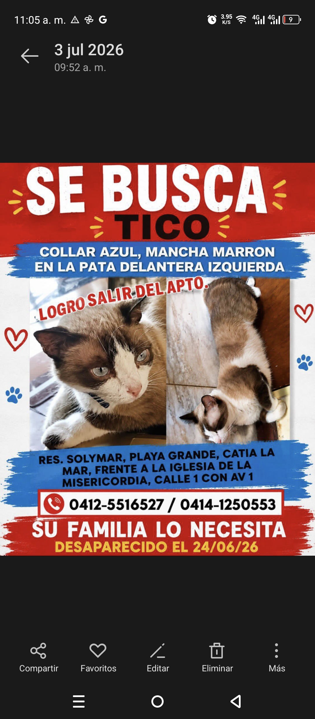 Tico