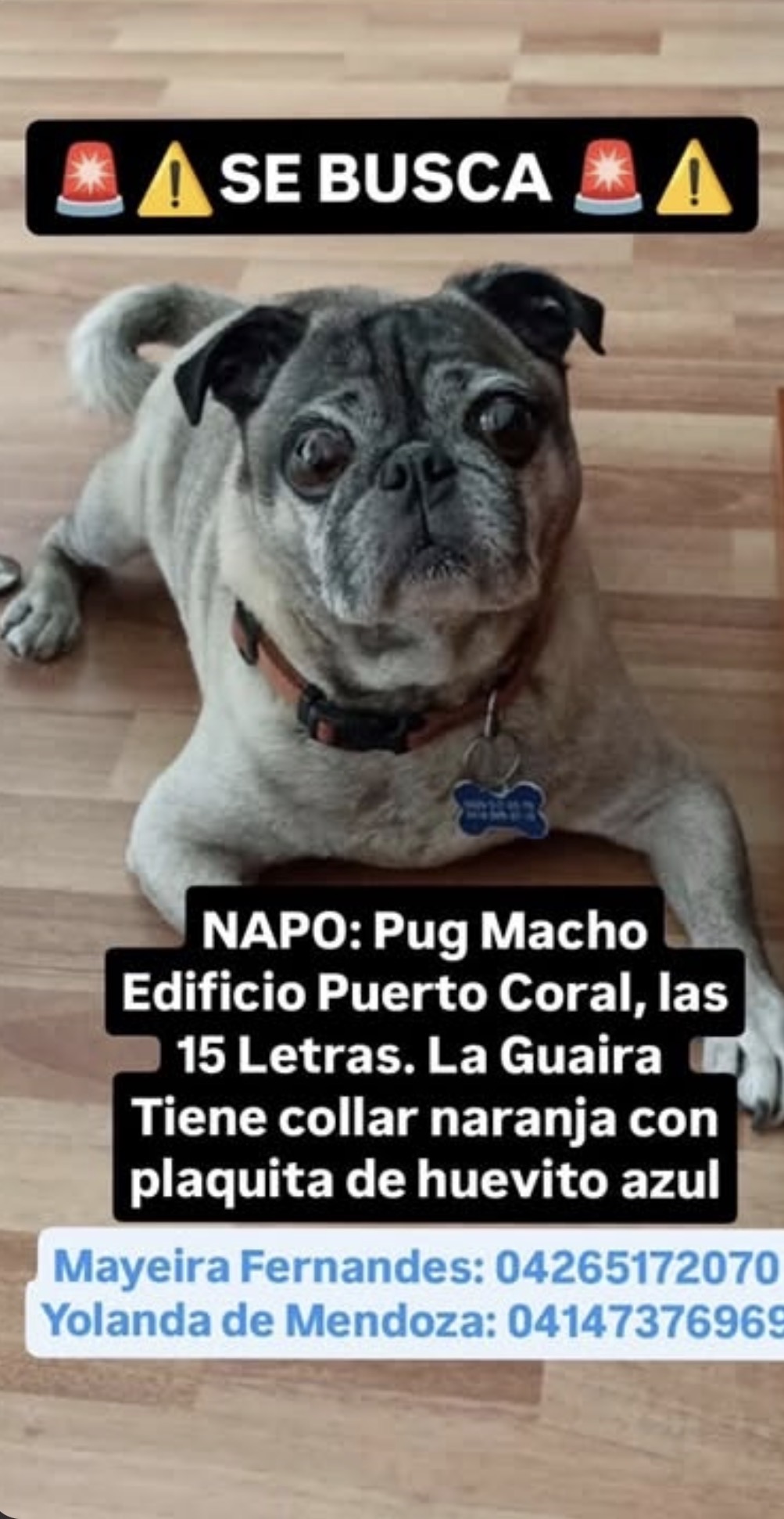 Napo