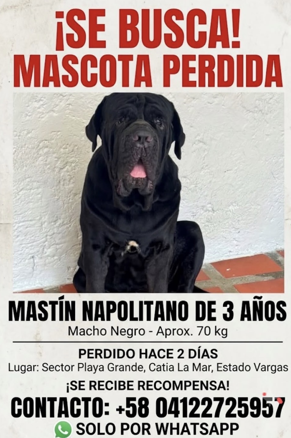 Sin información