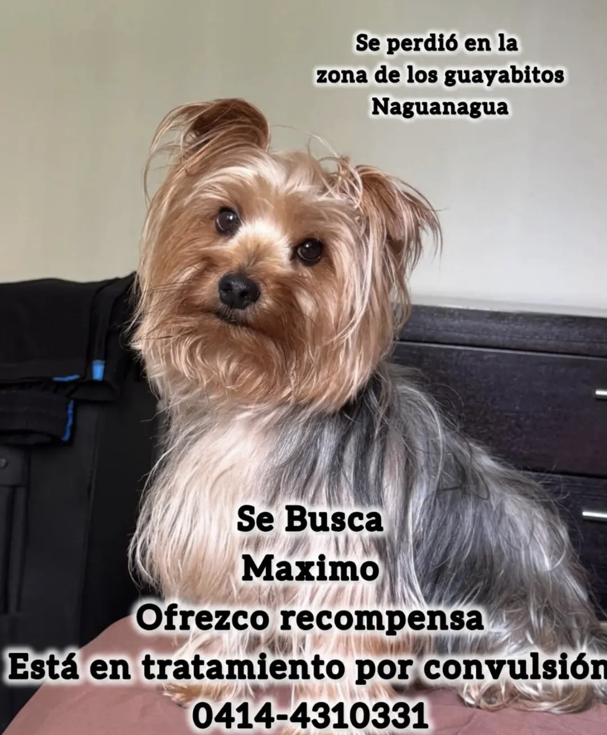 Maximo
