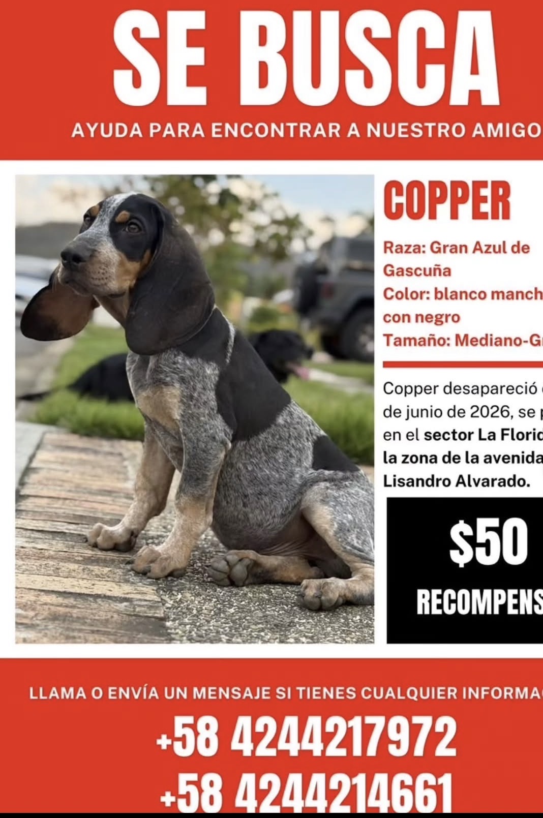 Cooper