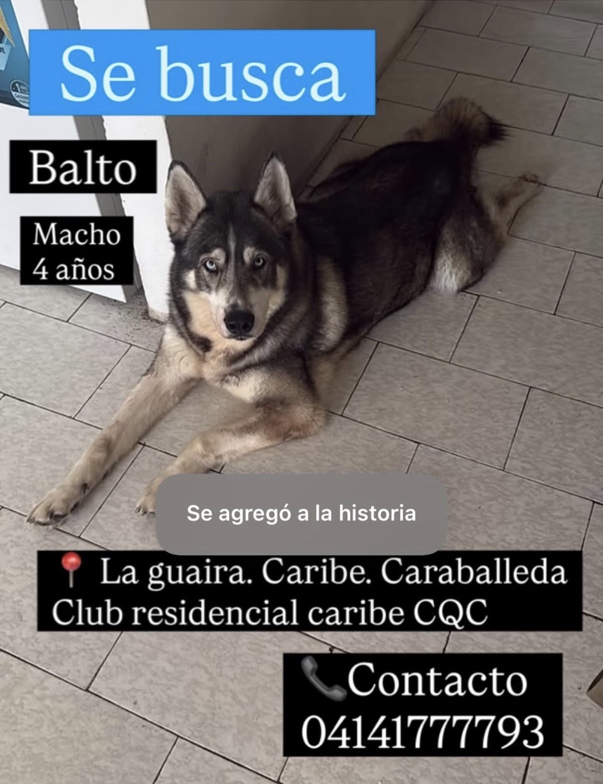 Balto
