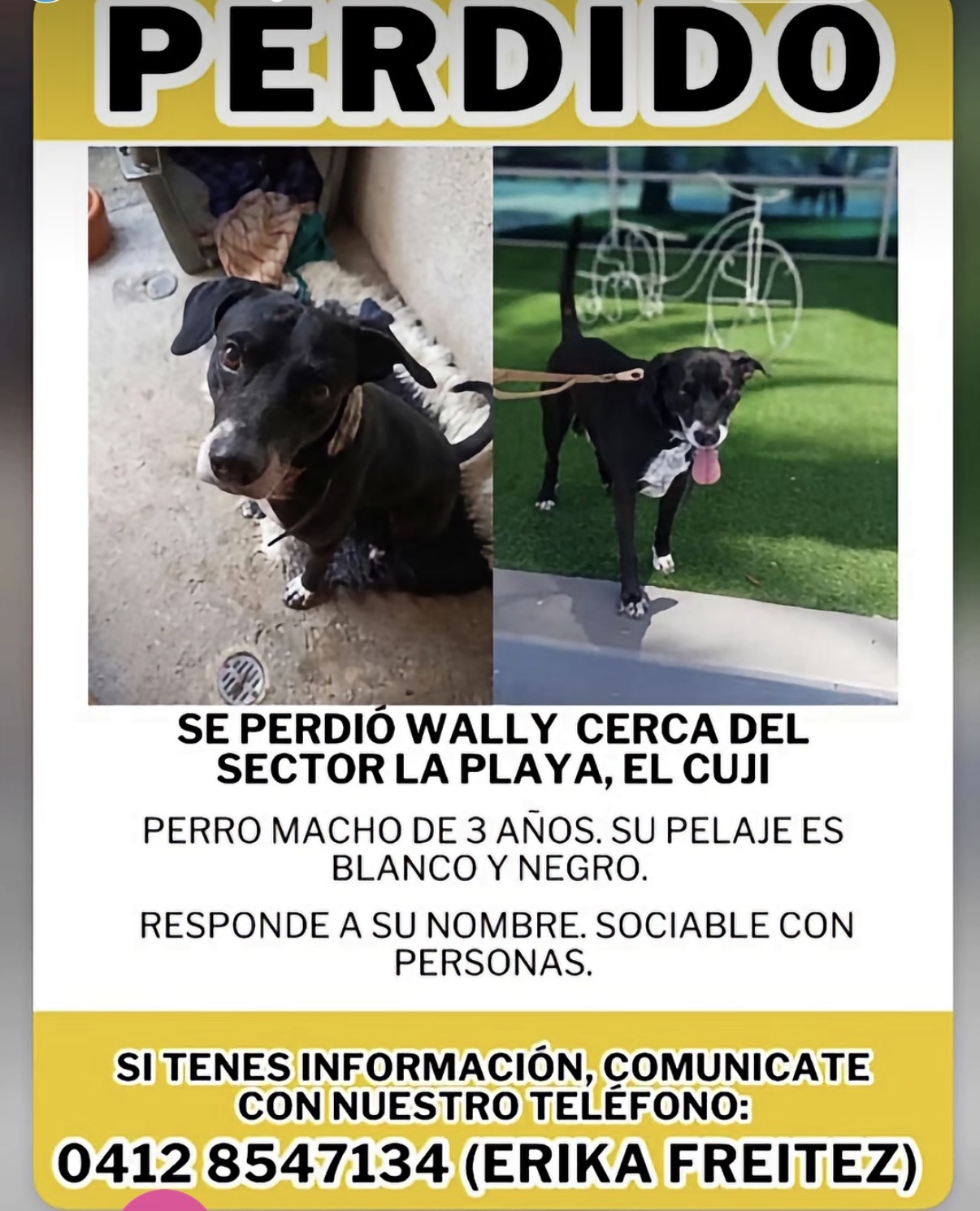 Wally