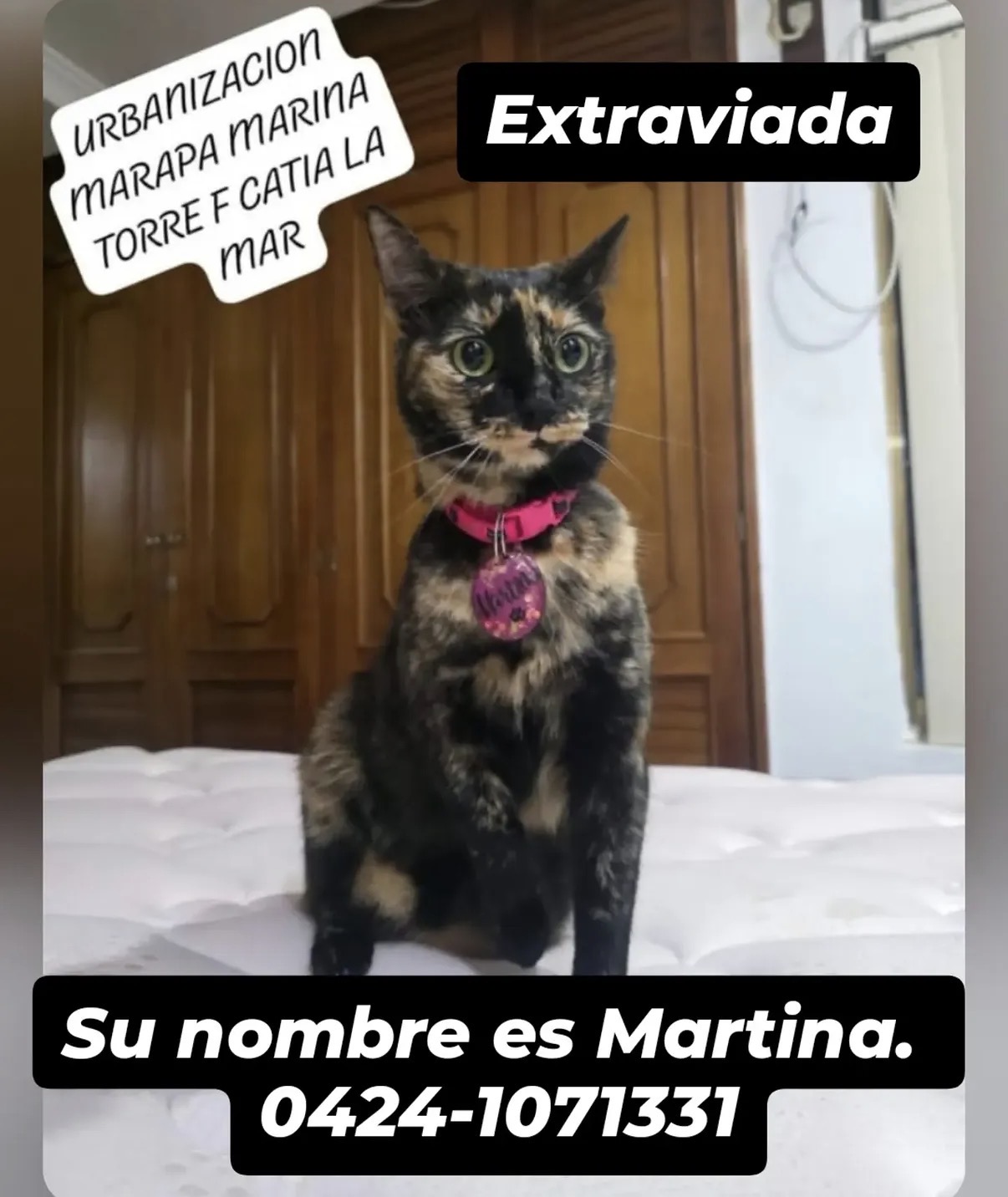 Martina