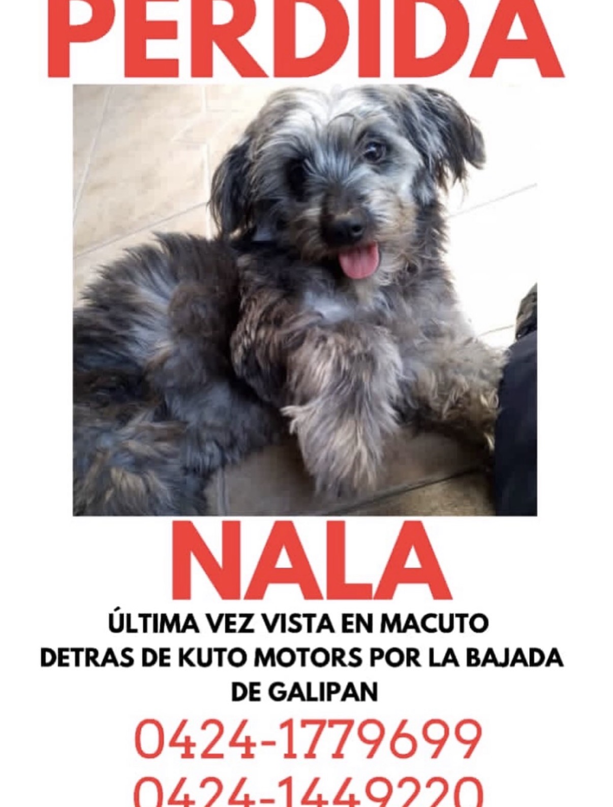 Nala