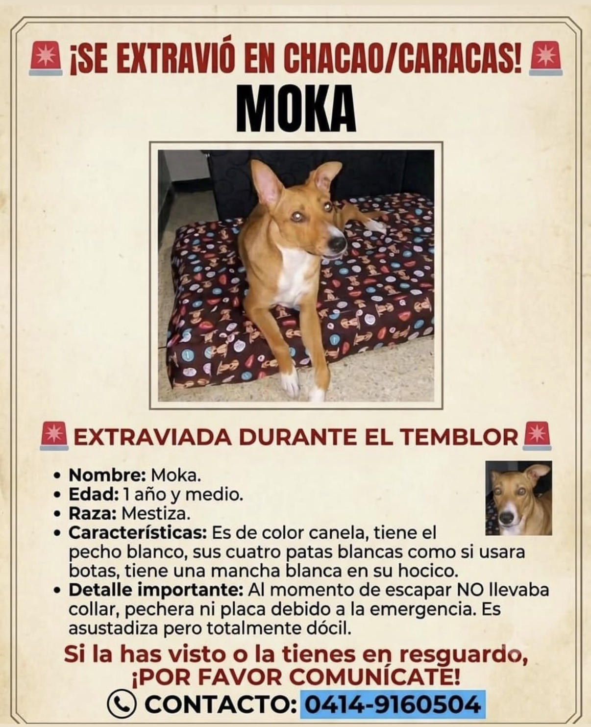 Moka