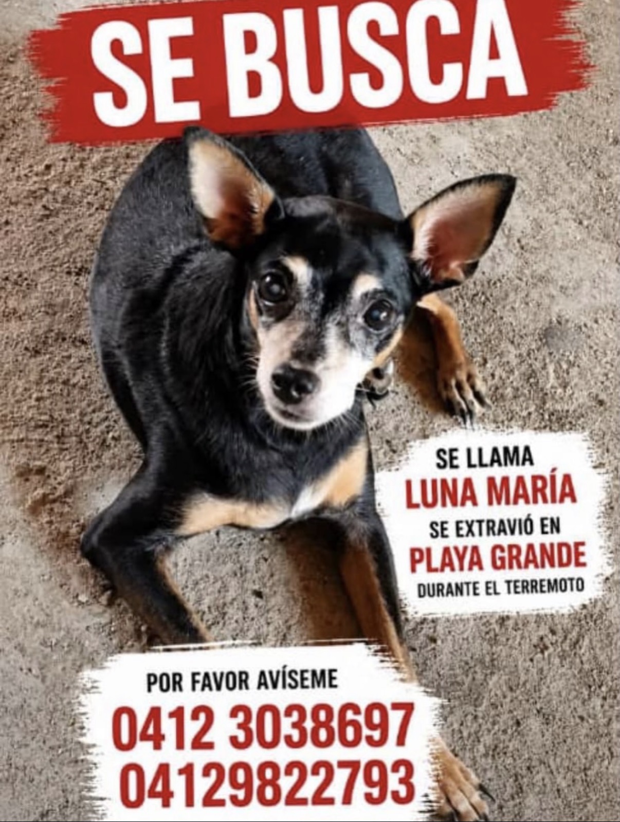Luna María