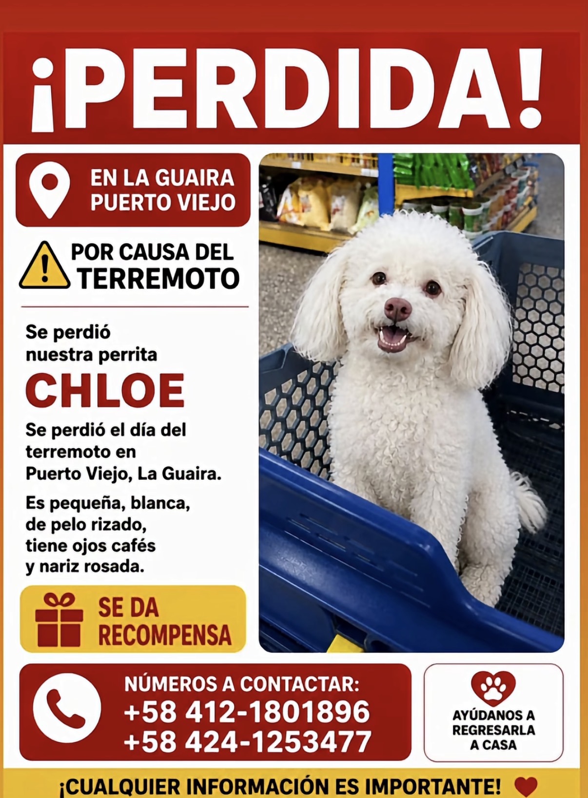 Chloe