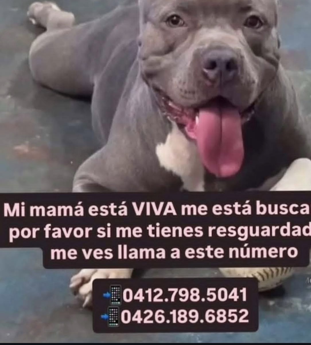 Sin datos