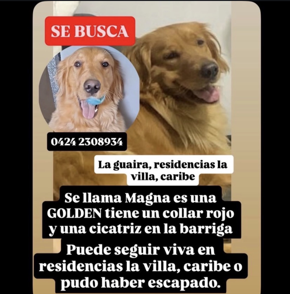 Magna