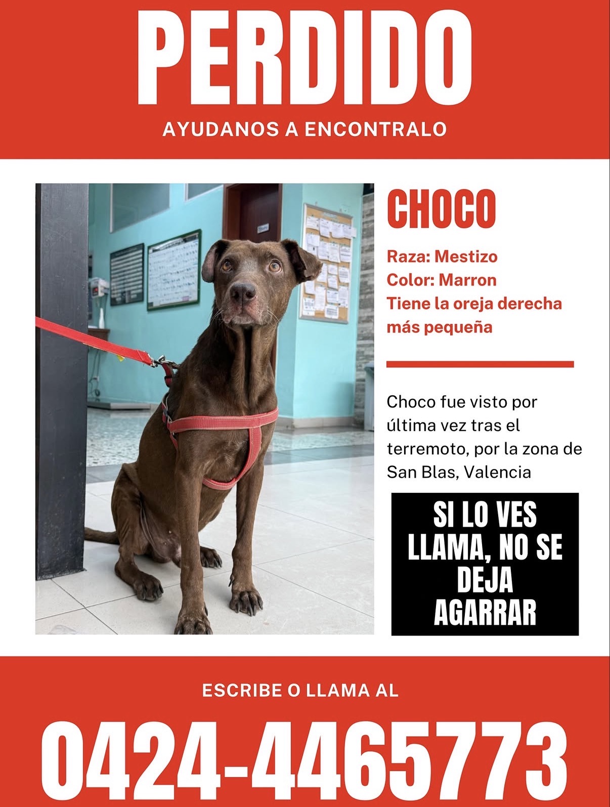 Choco