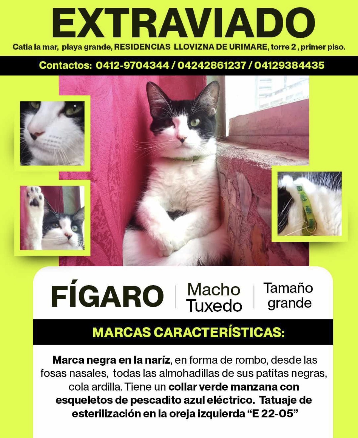 Figaro