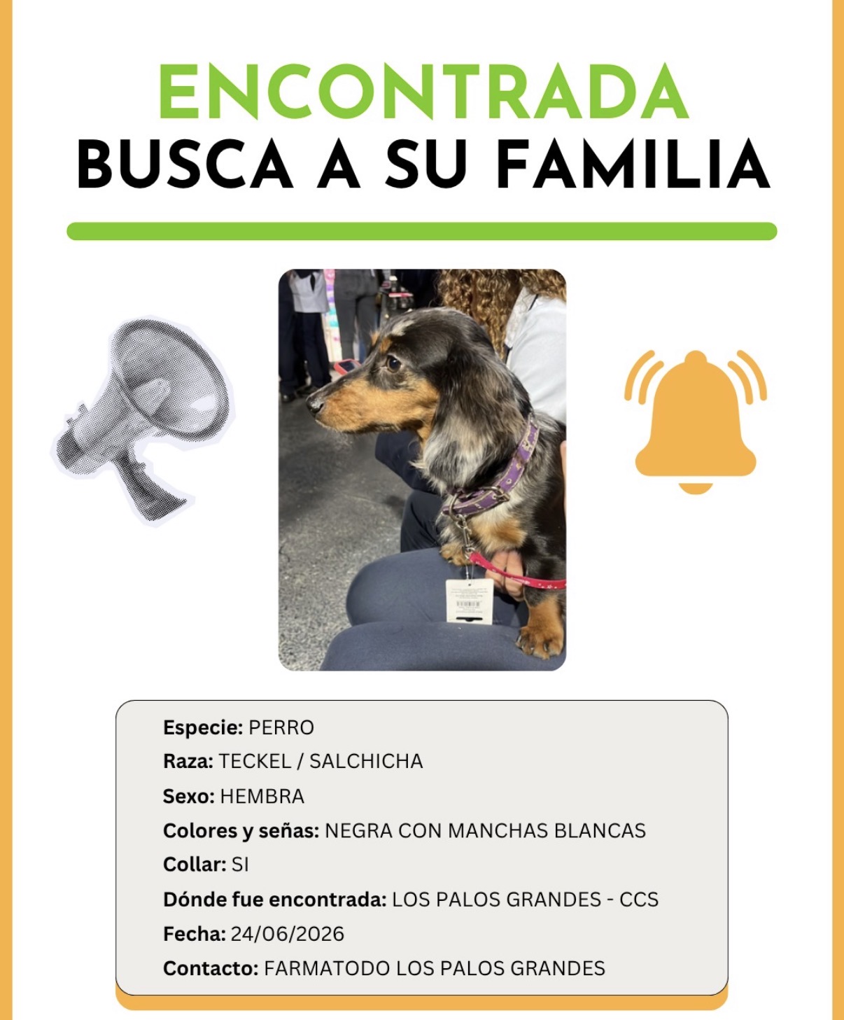 Mascota reportada