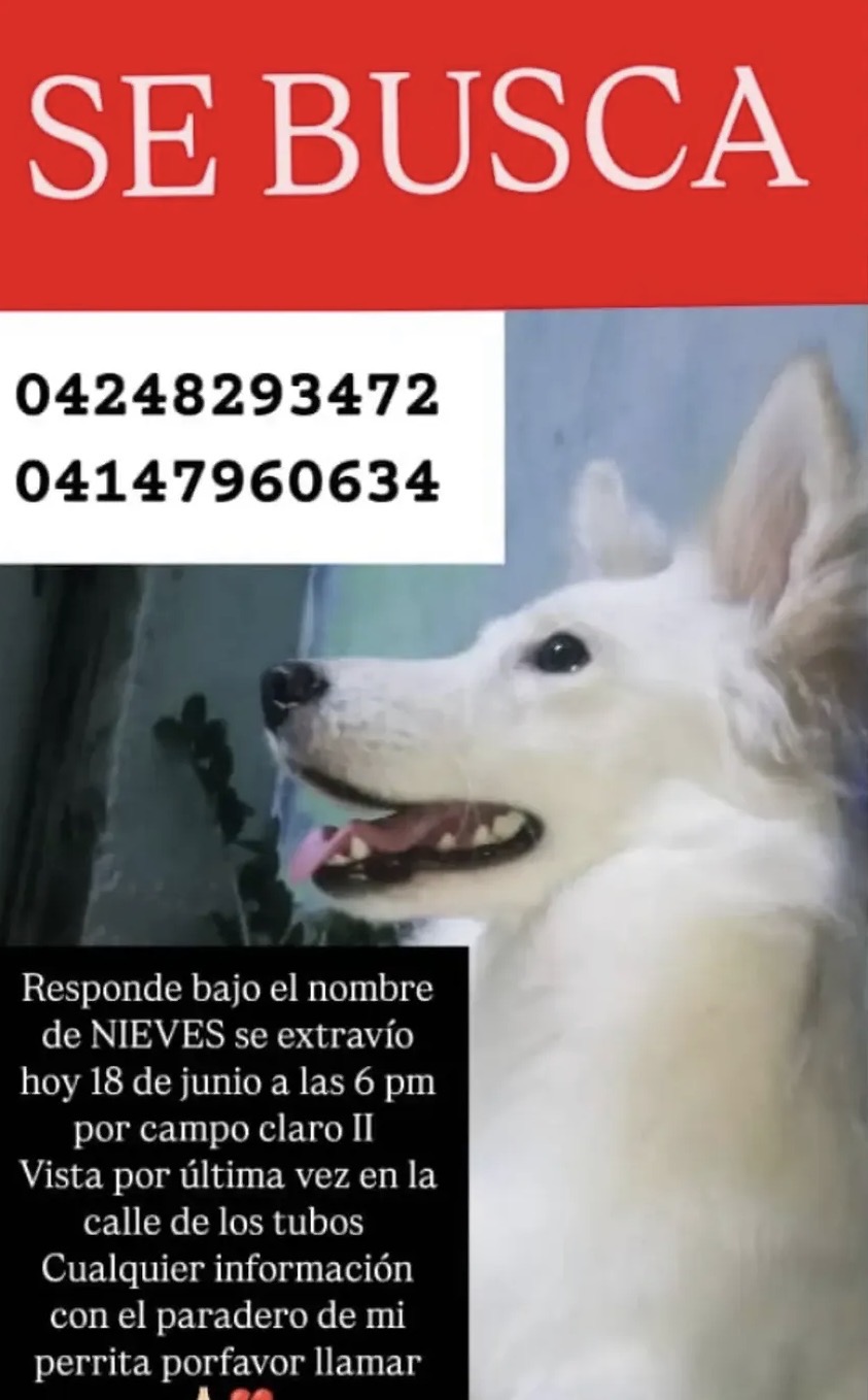Nieves