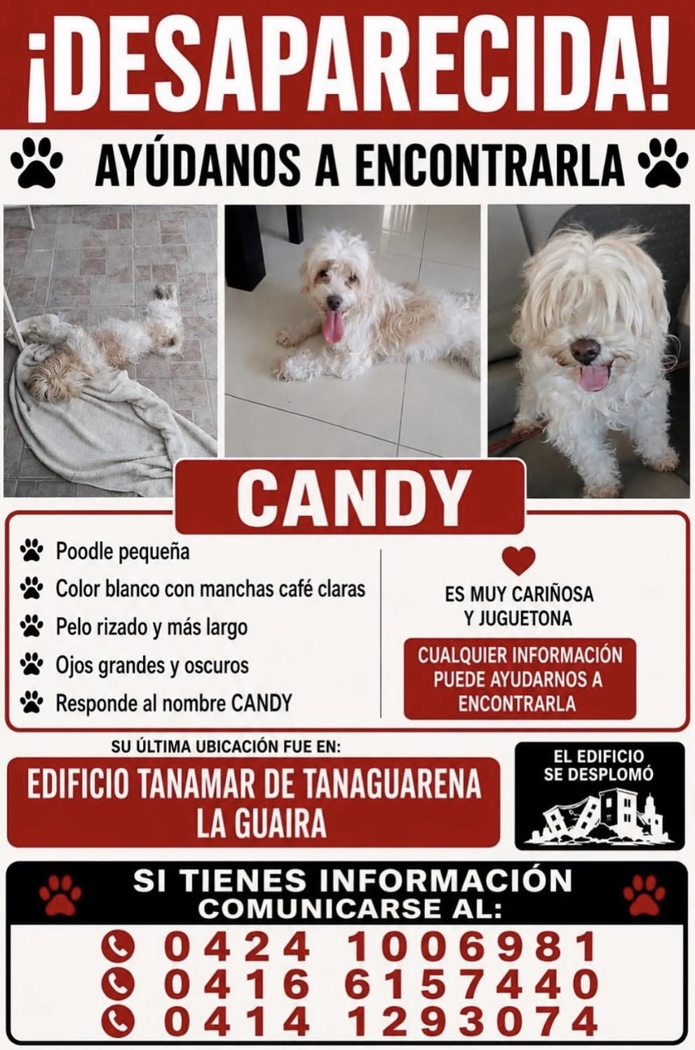 Candy
