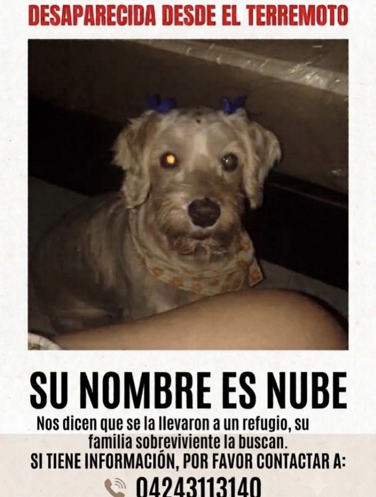 Nube