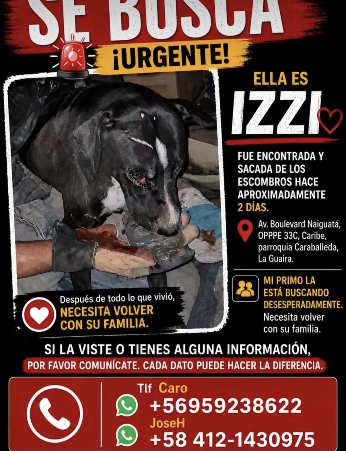 Izzy
