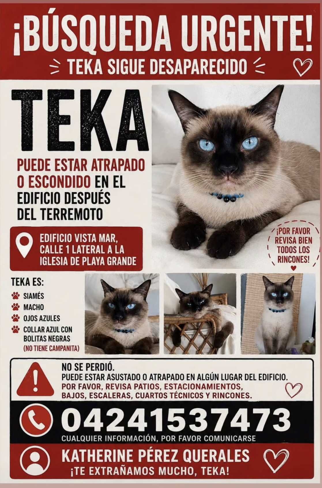 Teka